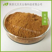 猴头菇多糖猴头菇粉壹贝子现货批发食用菌固体饮料猴头菇提取物
