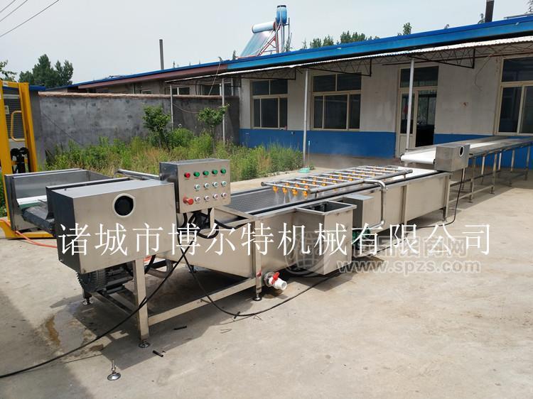 商用气浴清洗机 大型不锈钢气浴清洗机 净菜设备流水线