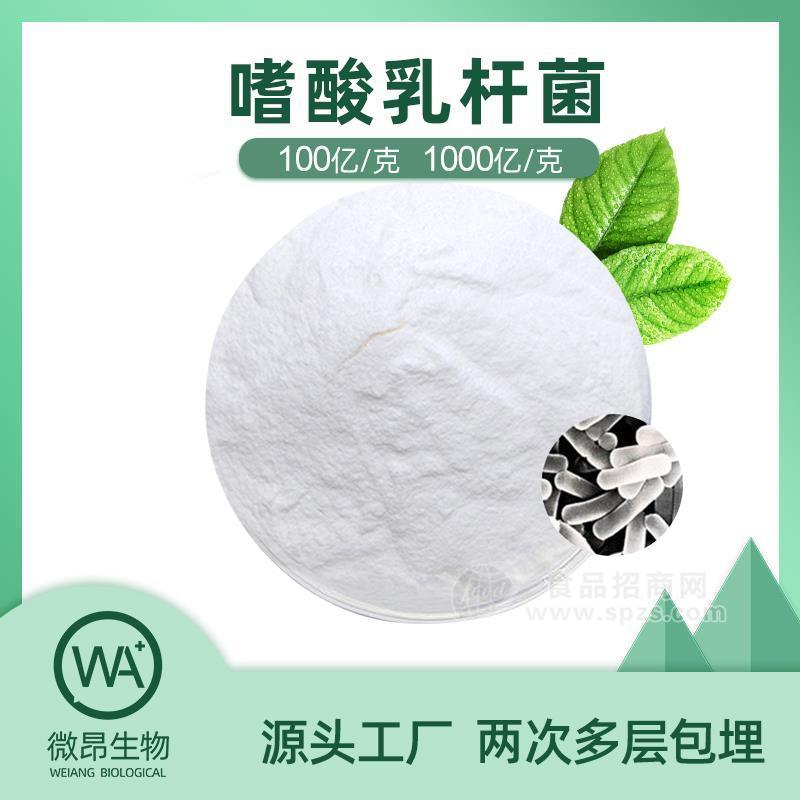 嗜酸乳桿菌 凍干型乳酸菌粉 益生菌原料 食品級(jí)