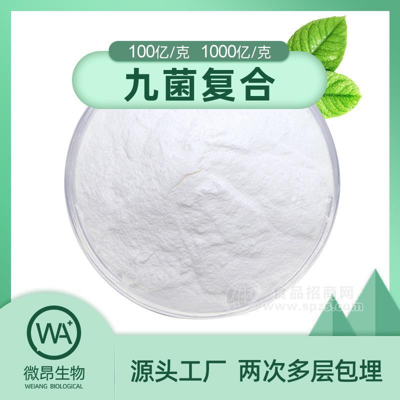九菌复合 冻干型乳酸菌粉 益生菌原料 食品级