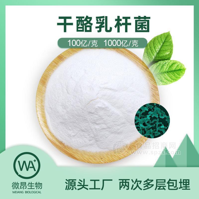 干酪乳桿菌 凍干型乳酸菌粉 益生菌原料 食品級(jí)