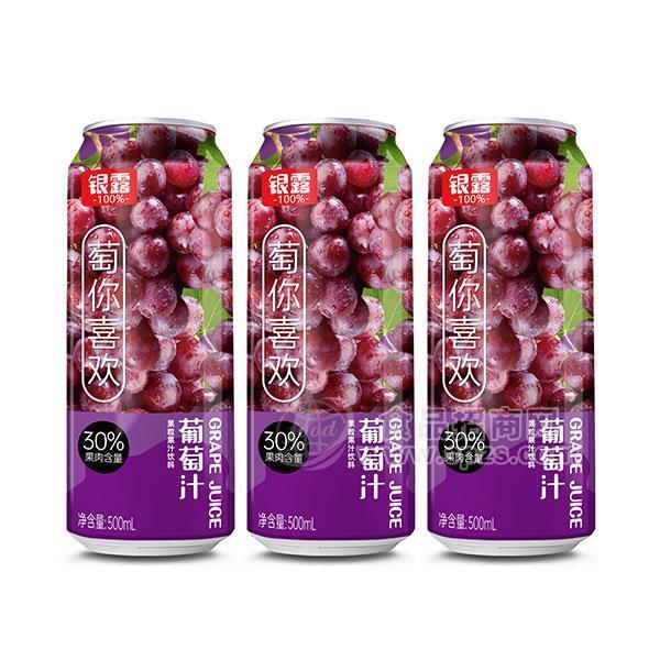 銀露葡萄汁果粒果汁飲料廠家招商500ml