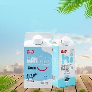 牛加加 益菌乳 发酵奶 酸牛奶饮品招商 原味458g