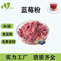 蓝莓果汁粉壹贝子压片糖果现货批发蓝莓提取物蓝莓花青素蓝莓粉