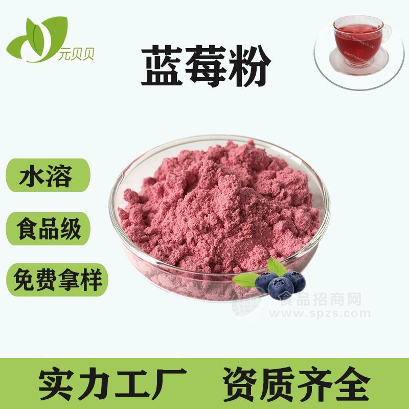 蓝莓果汁粉壹贝子压片糖果现货批发蓝莓提取物蓝莓花青素蓝莓粉