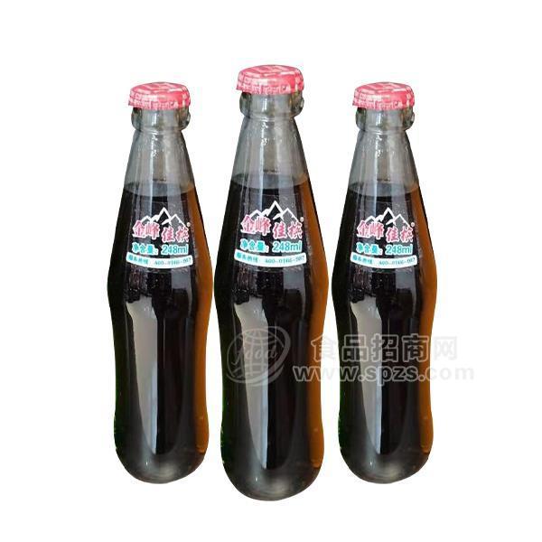 金峰佳槟汽水风味饮料248ml