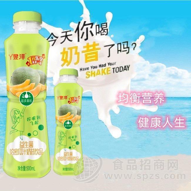 昱洋益生菌哈密瓜汁奶昔饮品500ml*15瓶装招商