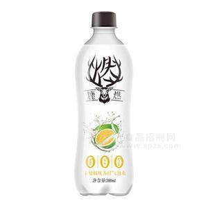 鹿燃卡曼橘味蘇打氣泡水蘇打水招商500ml