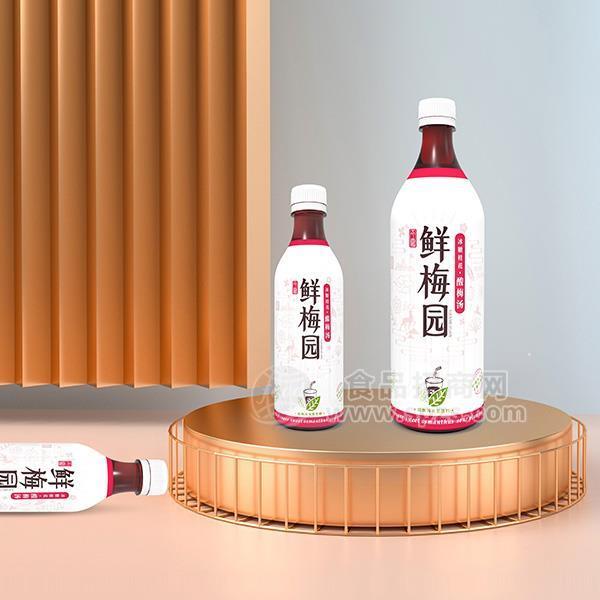 今露鲜梅园酸梅汁招商果味饮料代理冰糖桂花酸梅汤招商380ml