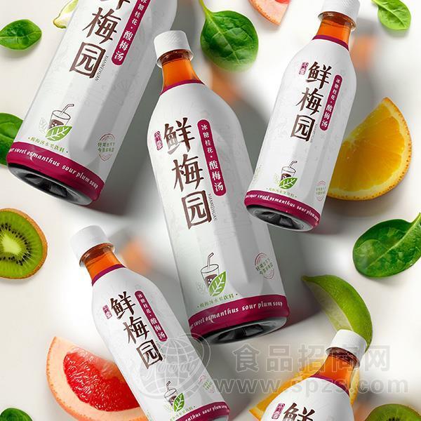 果味酸梅汁饮料今露鲜梅园酸梅汤风味饮品招商80ml
