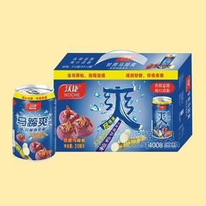 沃捷馬蹄爽果粒果汁飲料招商310g手提禮盒