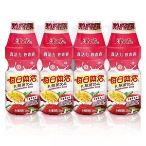 百香果乳酸菌160ml