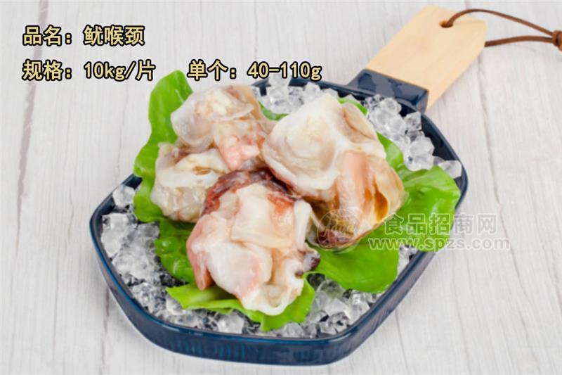 鱿喉颈鱿鱼大肉红边颈圈印度洋秘鲁赤道