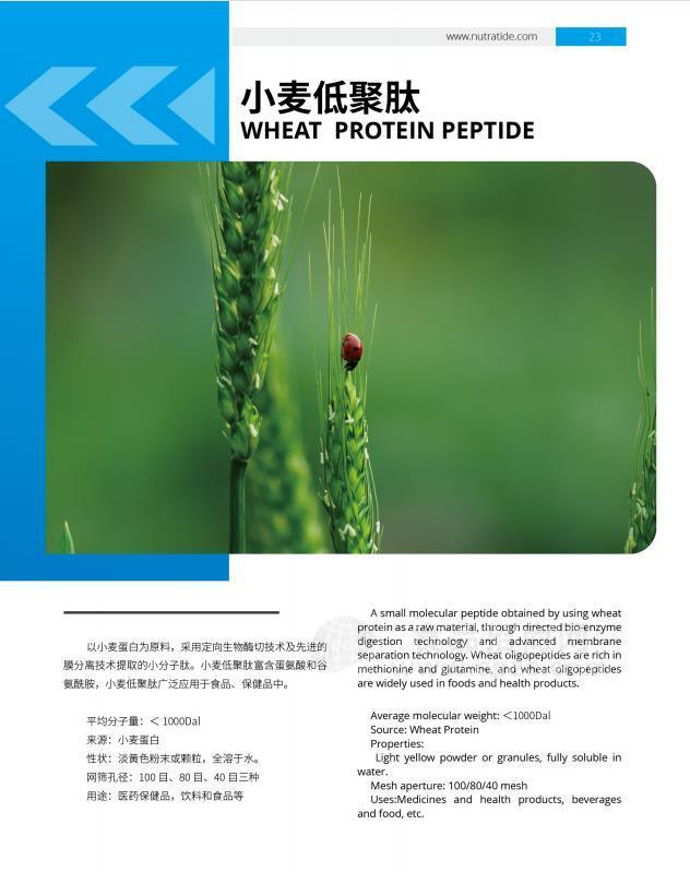 湖北健肽 小麦低聚肽 小分子肽 蛋白质分离肽 寡肽 崩塌溶解
