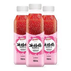 金世寳冰杨梅风味饮品410ml