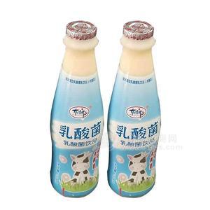 有情郎乳酸菌瓶装乳酸菌饮料招商