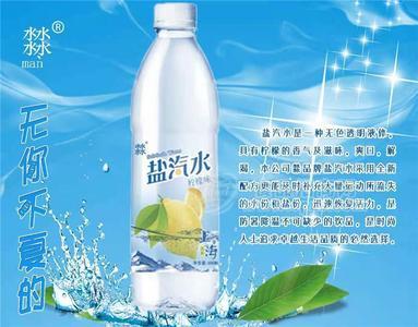盐汽水 柠檬味饮料 果味饮料 600ml