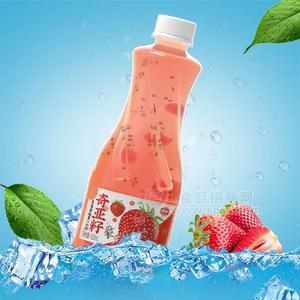 通飞京智源四通奇亚籽饮料招商大瓶饮料果肉果汁果粒果汁500ml