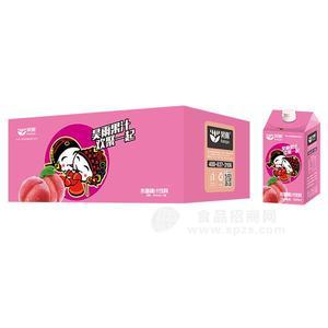 昊雨果汁水蜜桃汁饮料招商