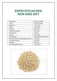 巴西進(jìn)口大豆一級(jí)  非轉(zhuǎn)基因大豆  一手貨源
