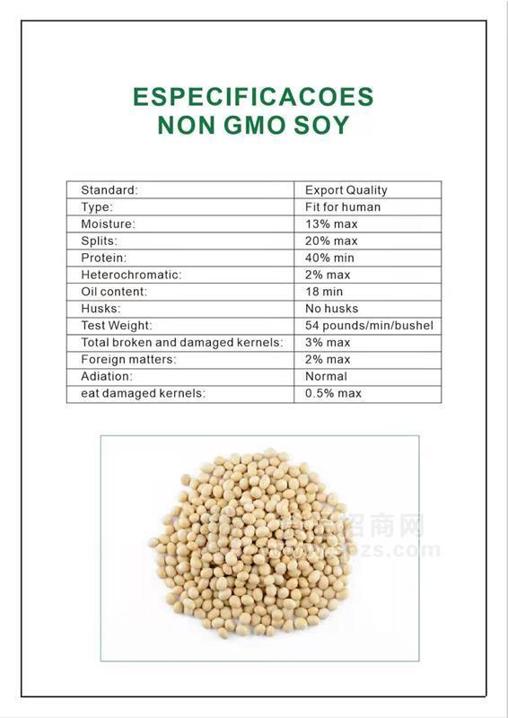 巴西進口大豆一級  非轉基因大豆  一手貨源