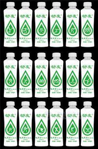 动友 电解质补水液 柠檬味 500ml