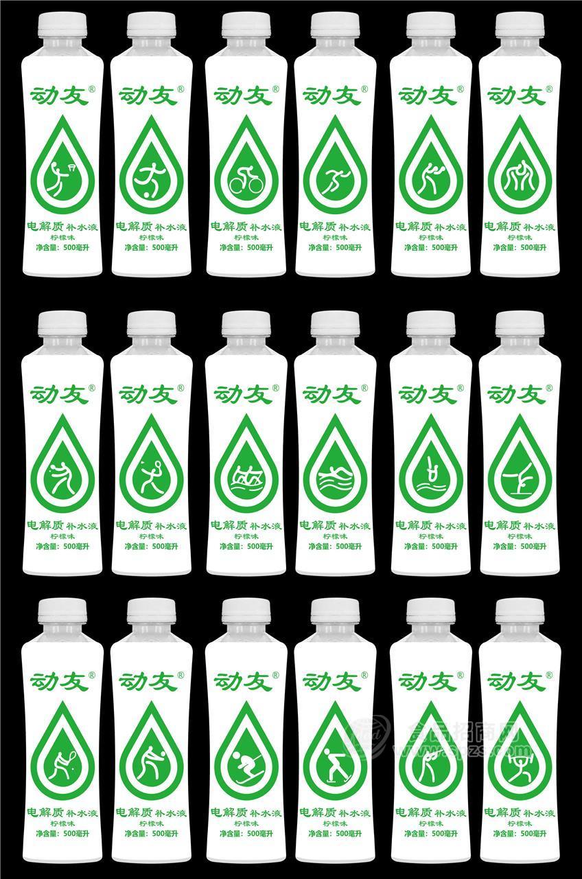 ·动友 电解质补水液 柠檬味 500ml 