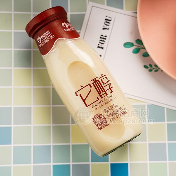 ·心意添餐饮它醇发酵酸奶饮品招商320ml 
