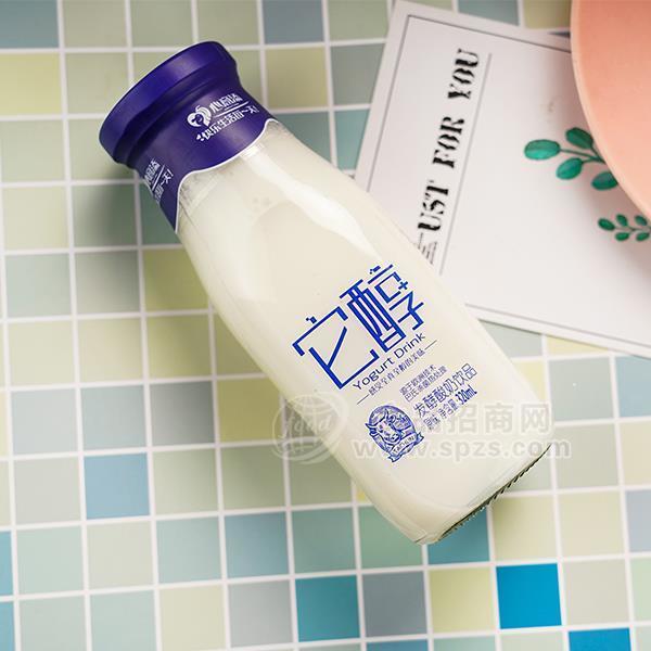 ·心意添餐饮它醇发酵酸奶饮品招商320ml 