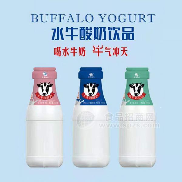 綠寶乳業(yè)水牛酸奶飲品乳飲料招商 