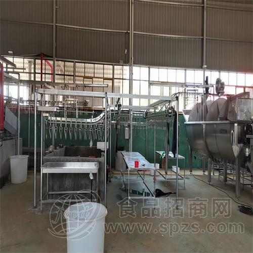 乳鸽自动宰杀机械设备 肉鸽自动屠宰流水线 家禽屠宰机械