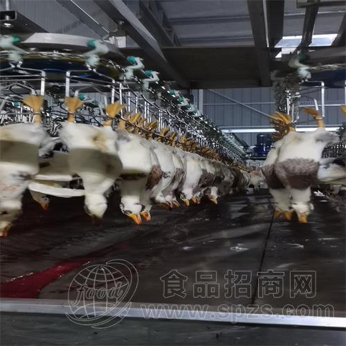 鸡鸭深加工设备 家禽自动屠宰流水线