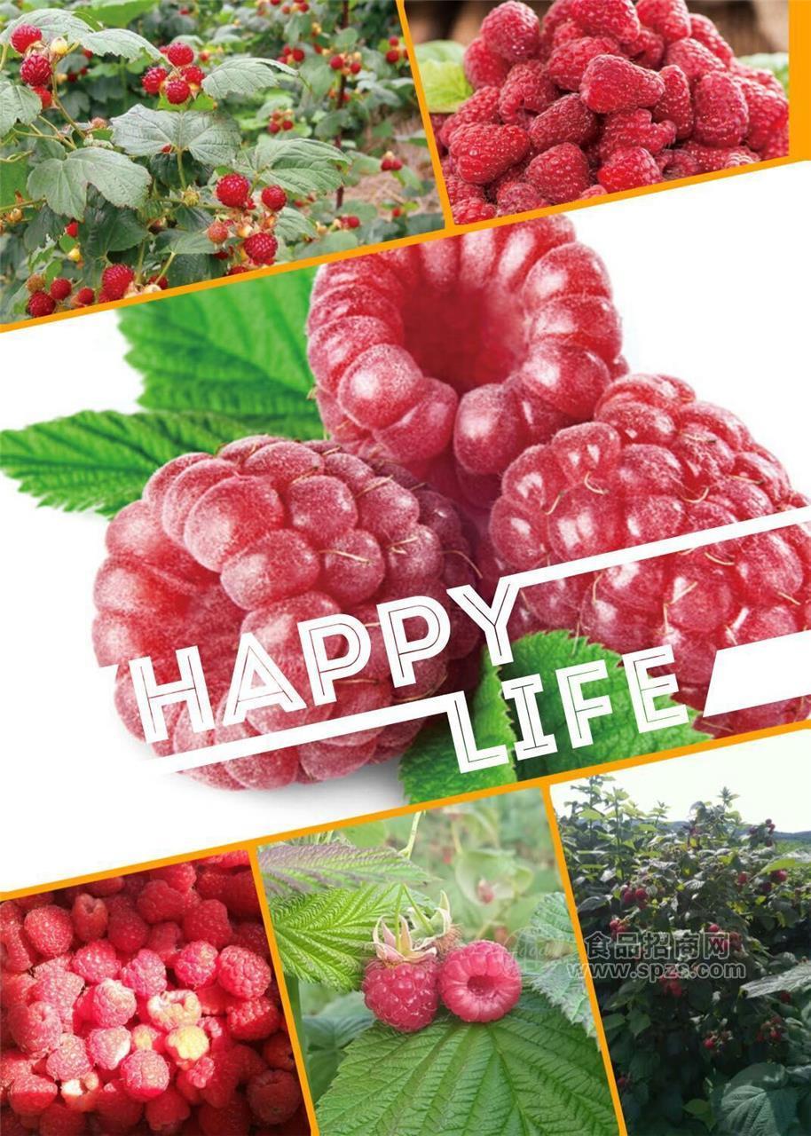 紅樹莓濃縮汁