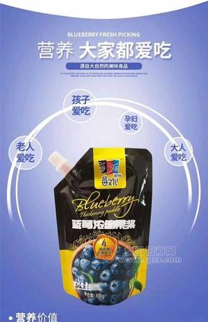 野生蓝莓果浆