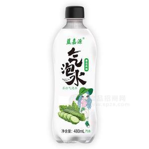 藍嘉源青瓜風(fēng)味氣泡水招商蘇打氣泡水480ml汽水碳酸飲料