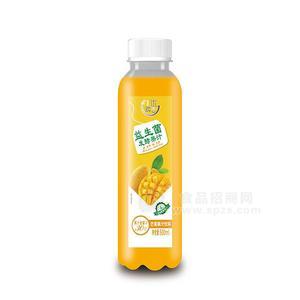 益生菌发酵芒果果汁饮料招商500ml