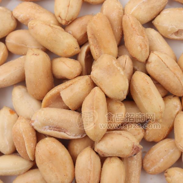 嘉味和 休闲食品炒货实物图