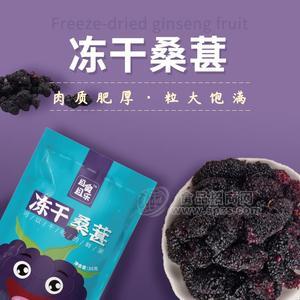 且食且樂凍干桑葚休閑食品35g