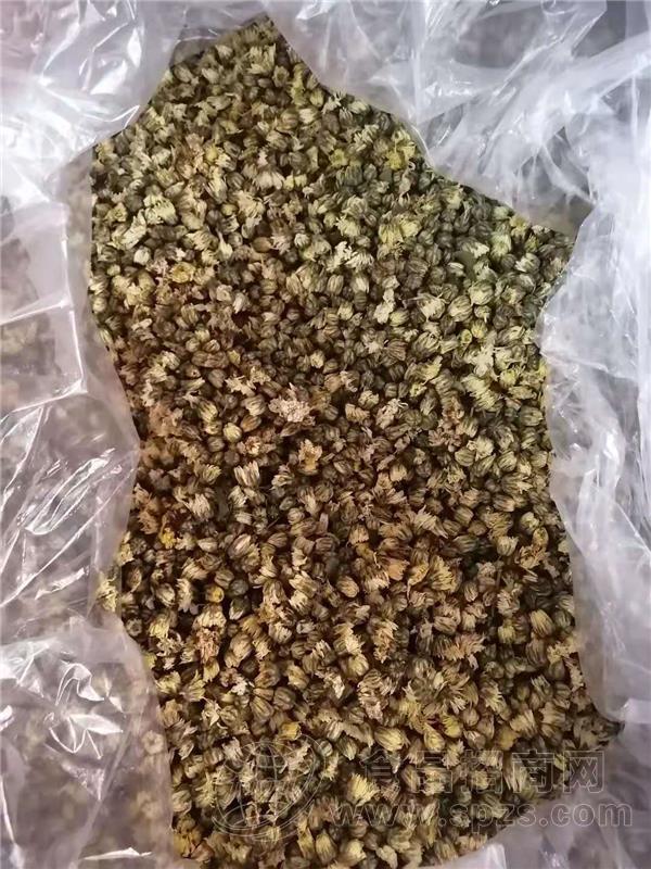 北京胎菊花厂家批发小胎菊花茶产地供应干菊花茶 胎菊工厂
