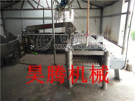 电气两用鸽子烫脱一体机品牌厂家