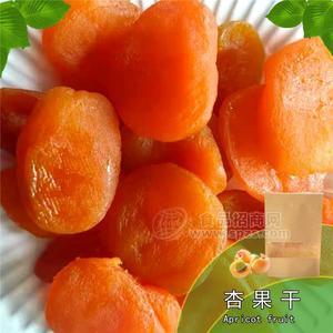 好藝點(diǎn) 杏果干 味豐食品 100克 精品裝 現(xiàn)貨批發(fā) 全國招商 代加工 OEM貼牌 定制招商