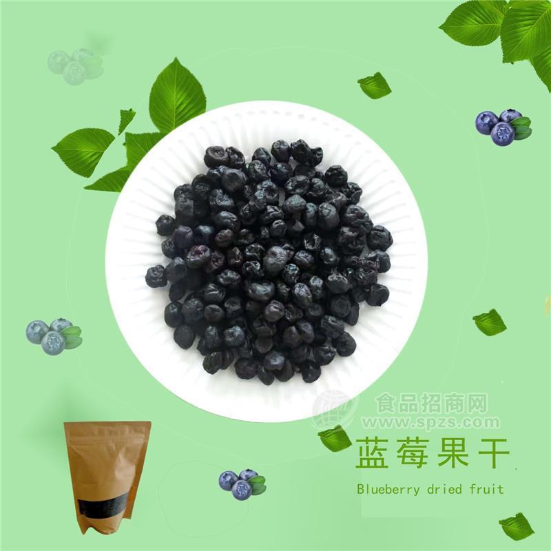 好艺点蓝莓果干 味丰食品 100克 精品装 现货批发 全国招商 代加工 OEM贴牌 定制