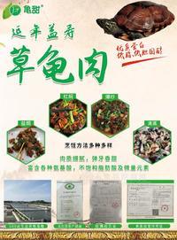 亀甜牌生態(tài)中華草龜肉