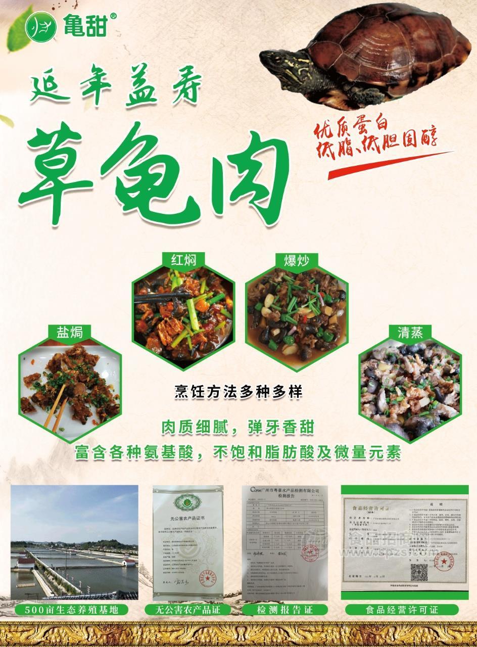 亀甜牌生态中华草龟肉