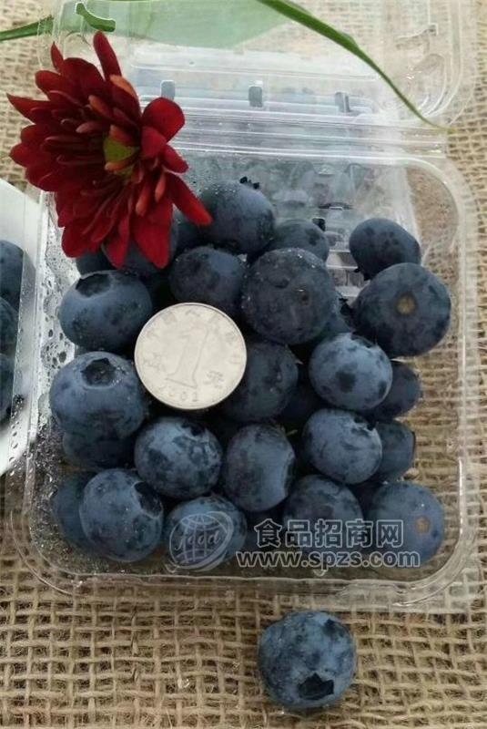 蓝莓鲜果