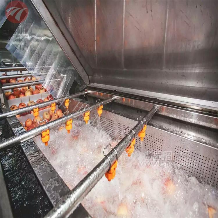 全自动加工流水线辣椒清洗加工设备