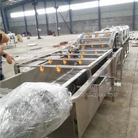 叶类蔬菜气泡清洗机蔬菜去杂去农残清洗流水线