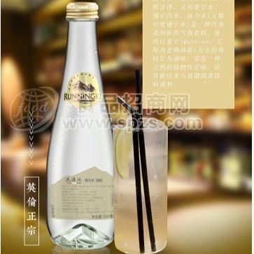 流浪冰汤力水气水