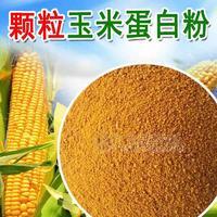 颗粒玉米蛋白