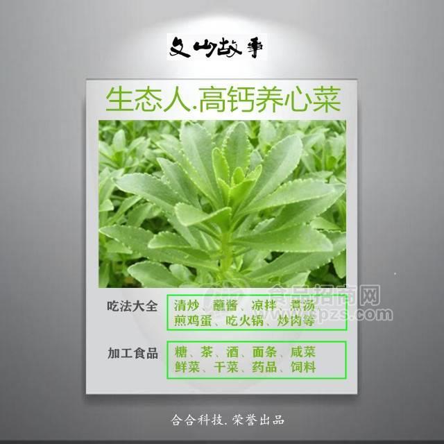 富硒高鈣養(yǎng)心菜【景天三七鮮菜】